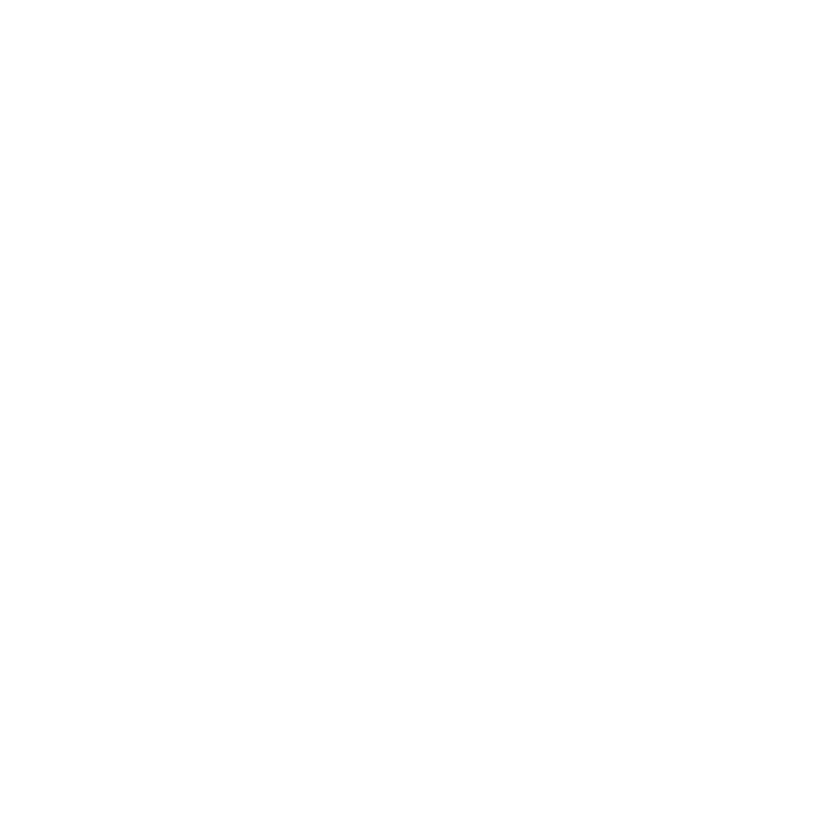 94,3 RS2